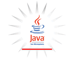 Sun: Java