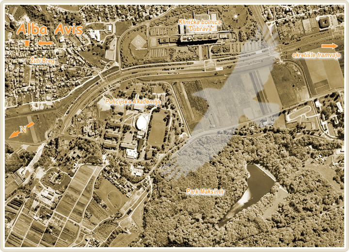 Pogled iz zraka; kako nas ptice vide!