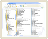 Organiziranje podataka